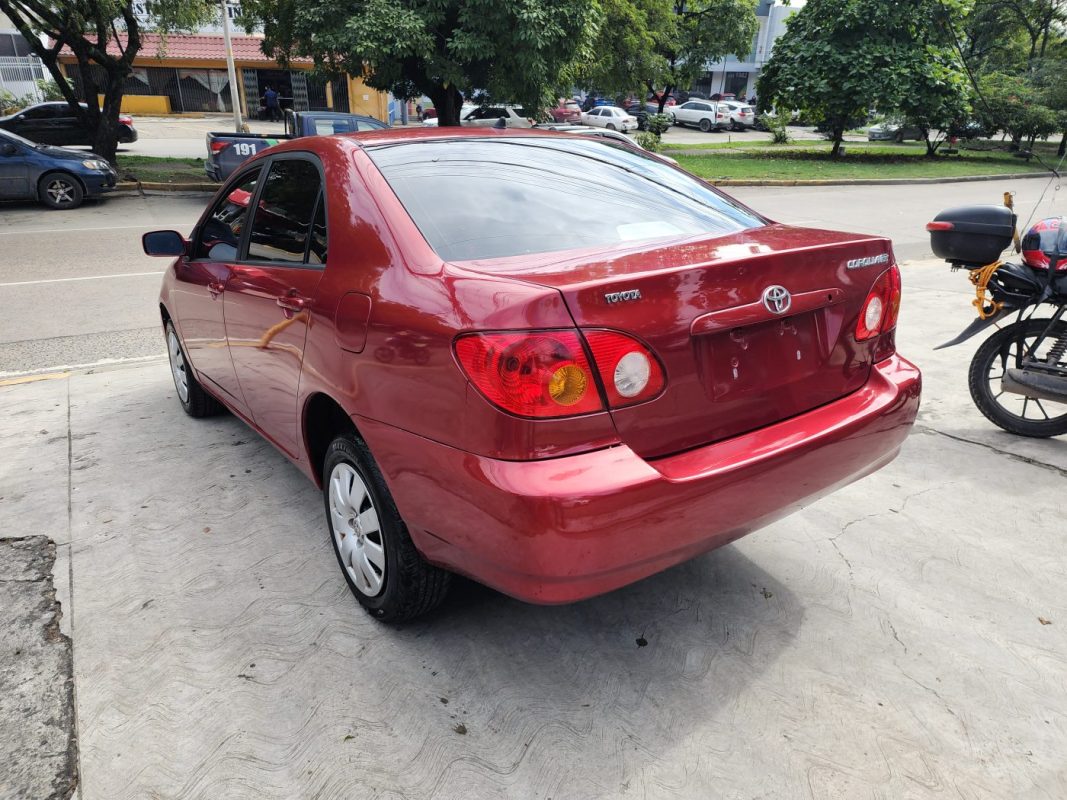 FJIMG_20260130_100226