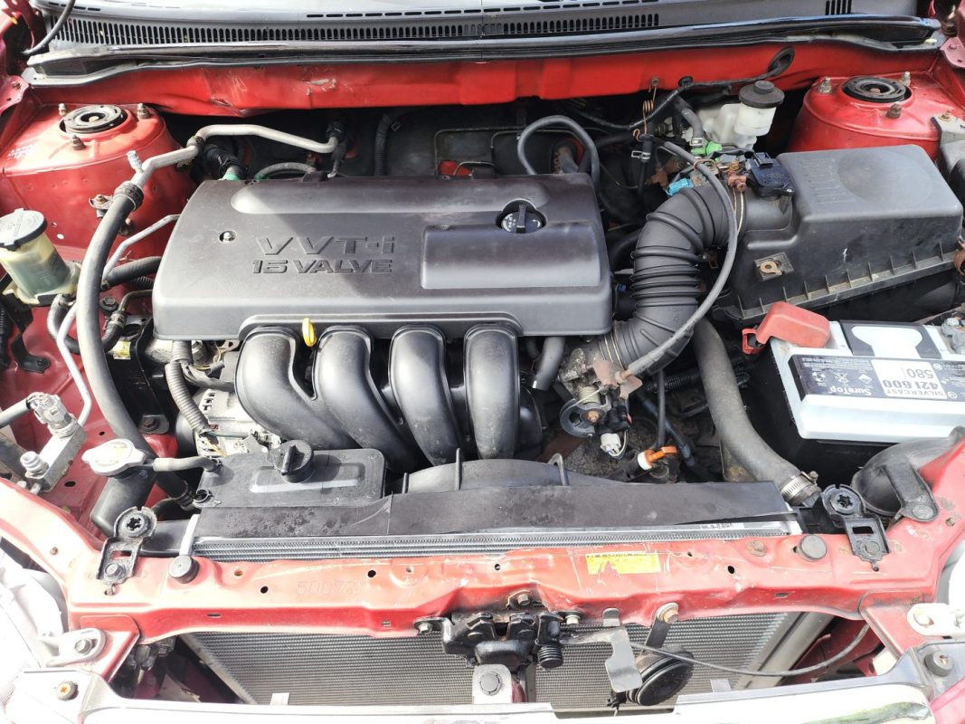 FJIMG_20260130_100317