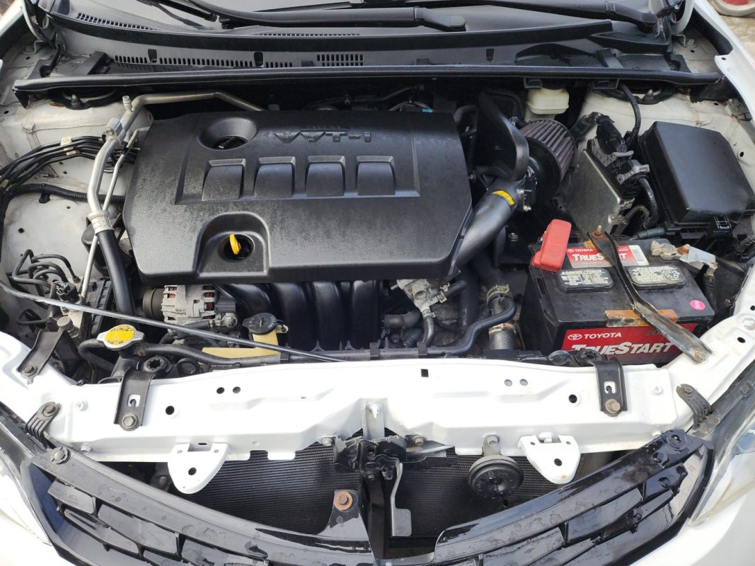 FJIMG_20260130_100618