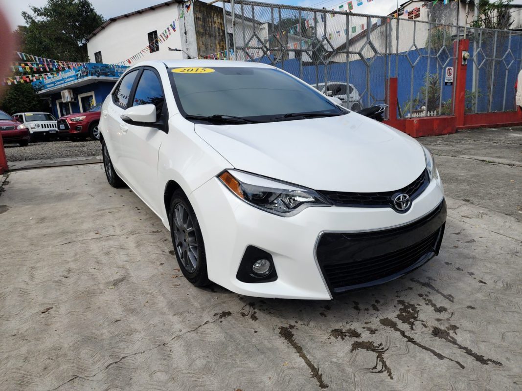 FJIMG_20260130_100625