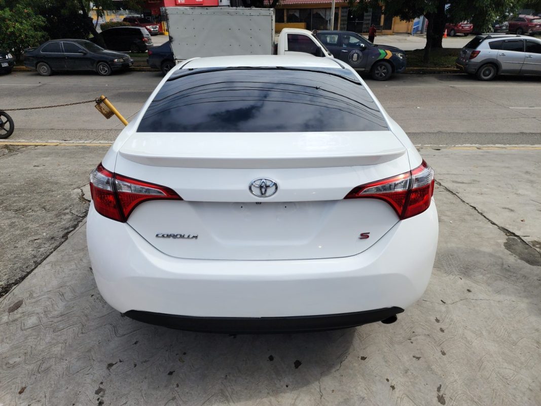 FJIMG_20260130_100640