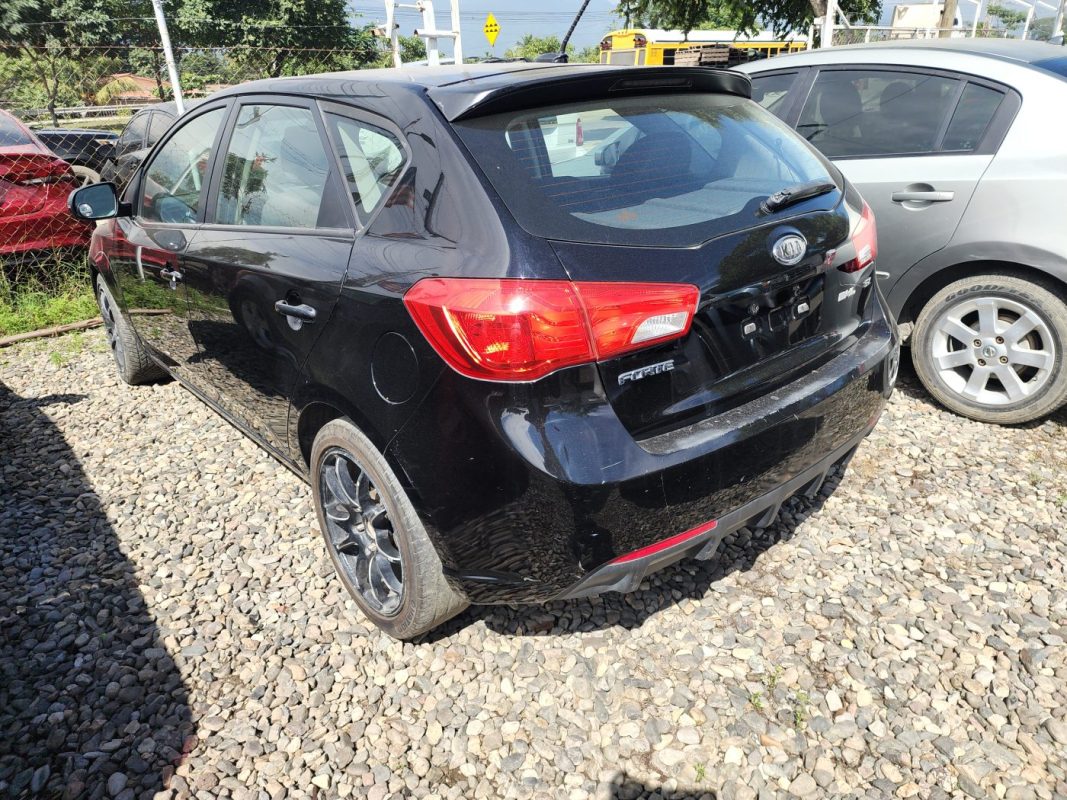 FJIMG_20260130_104747