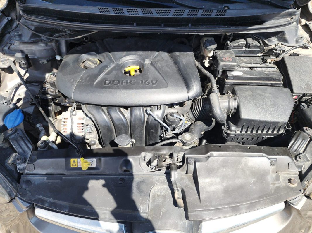 FJIMG_20260130_105954