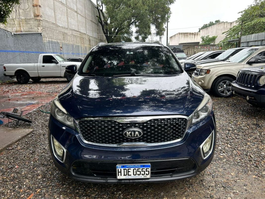 WhatsApp Image 2026-01-01 at 12.55.55 PM (5)