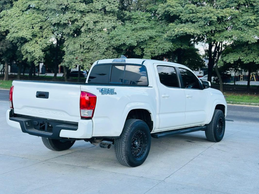 WhatsApp Image 2026-01-02 at 8.29.57 PM (1)