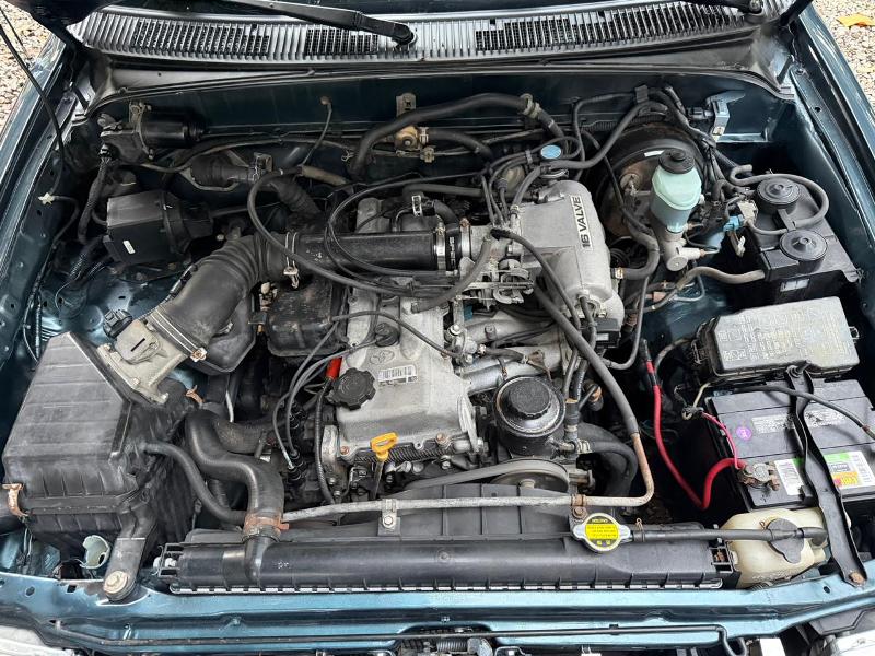 WhatsApp Image 2026-01-03 at 11.59.54 AM