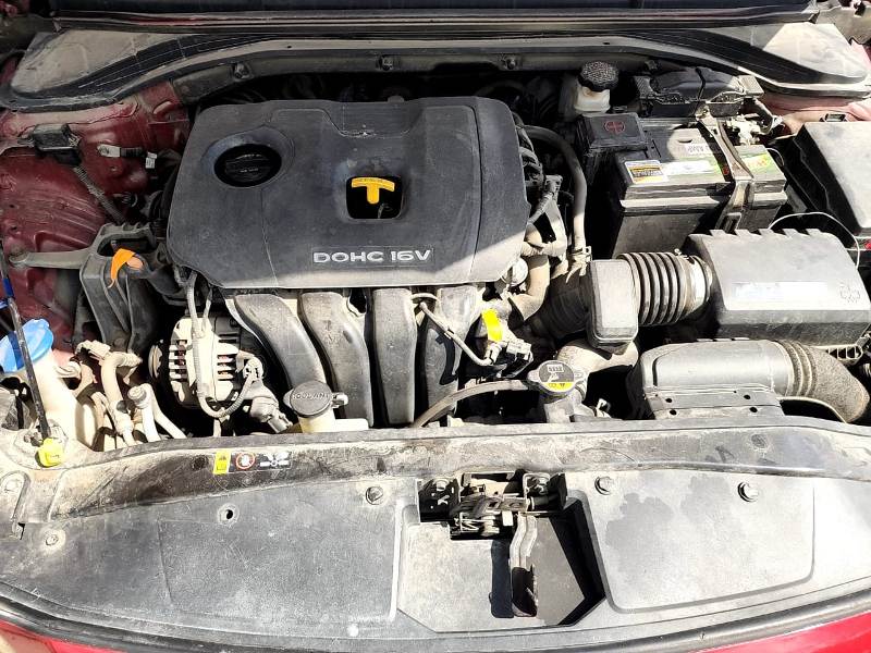 WhatsApp Image 2026-01-04 at 7.44.09 PM (1)