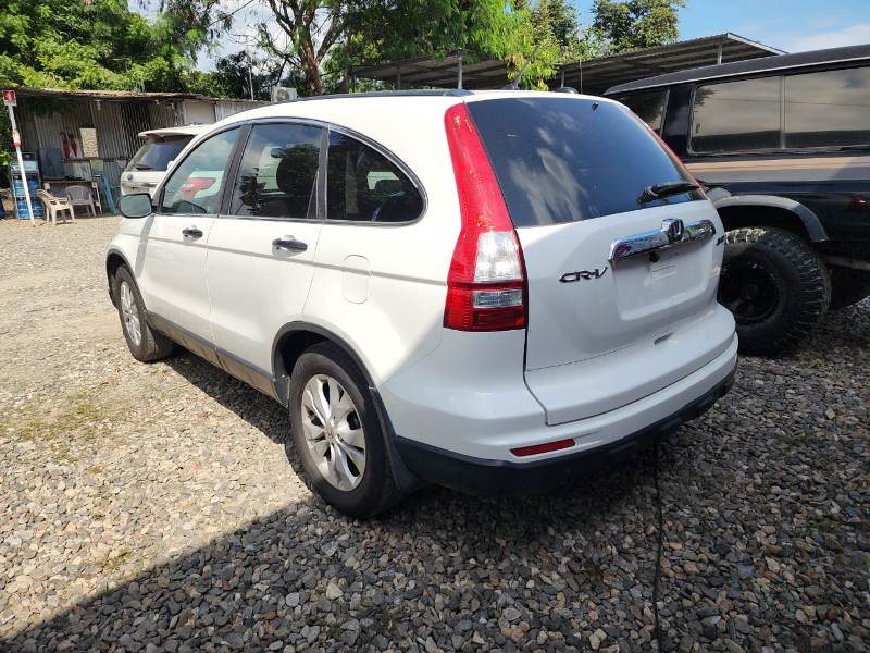 WhatsApp Image 2026-01-04 at 7.44.11 PM (5)