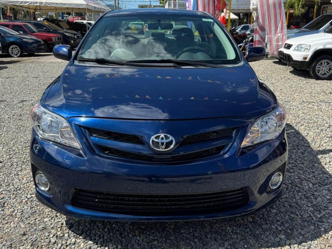 WhatsApp Image 2026-01-05 at 12.00.20 PM