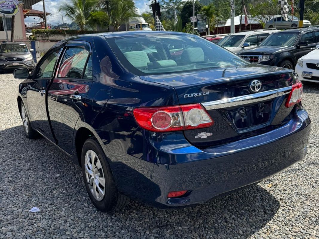 WhatsApp Image 2026-01-05 at 12.00.21 PM (2)