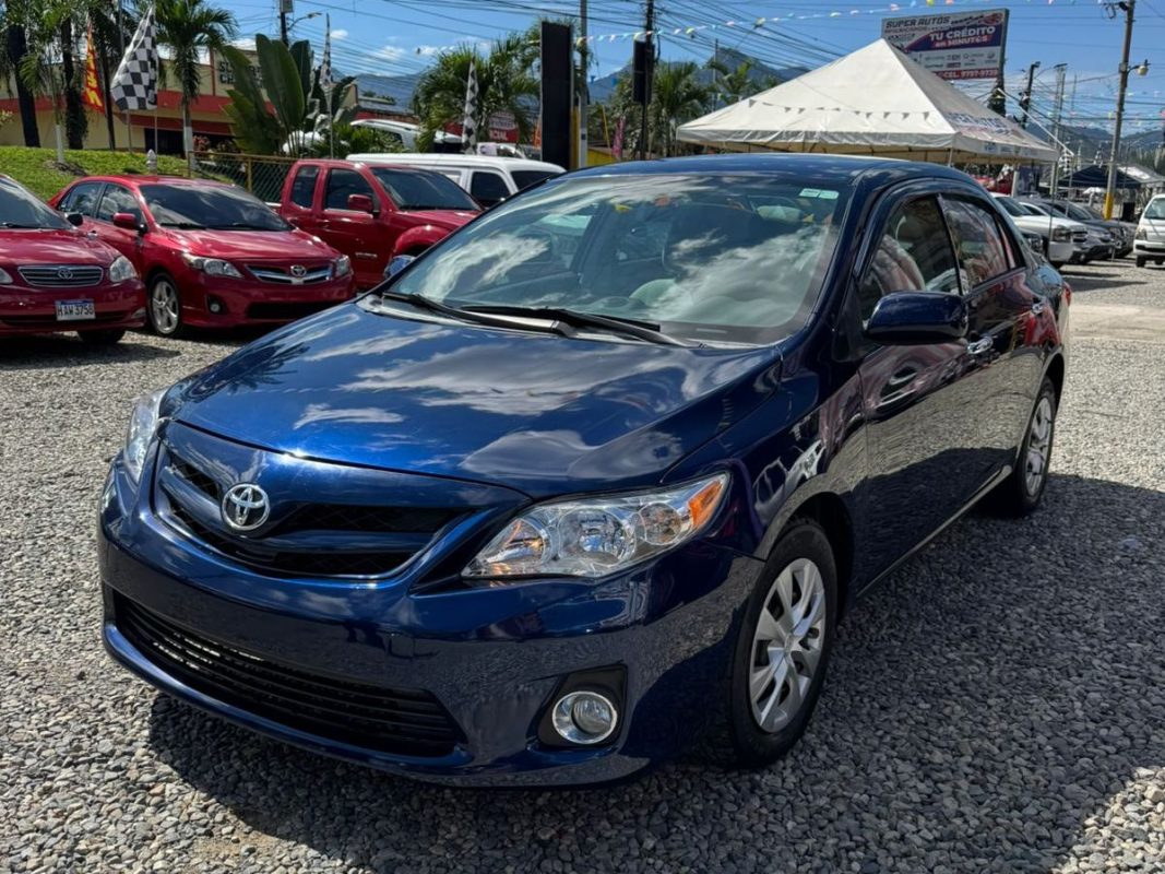 WhatsApp Image 2026-01-05 at 12.00.21 PM