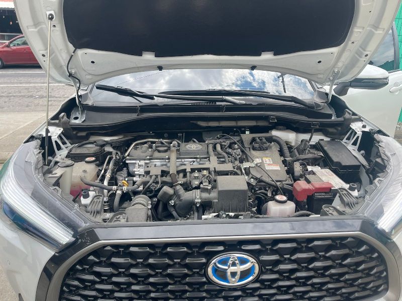 WhatsApp Image 2026-01-05 at 3.18.35 PM