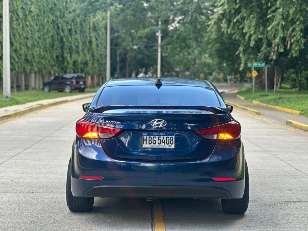 WhatsApp Image 2026-01-05 at 8.20.03 PM (1)