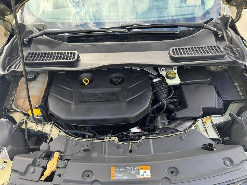 WhatsApp Image 2026-01-06 at 2.26.33 PM (2)