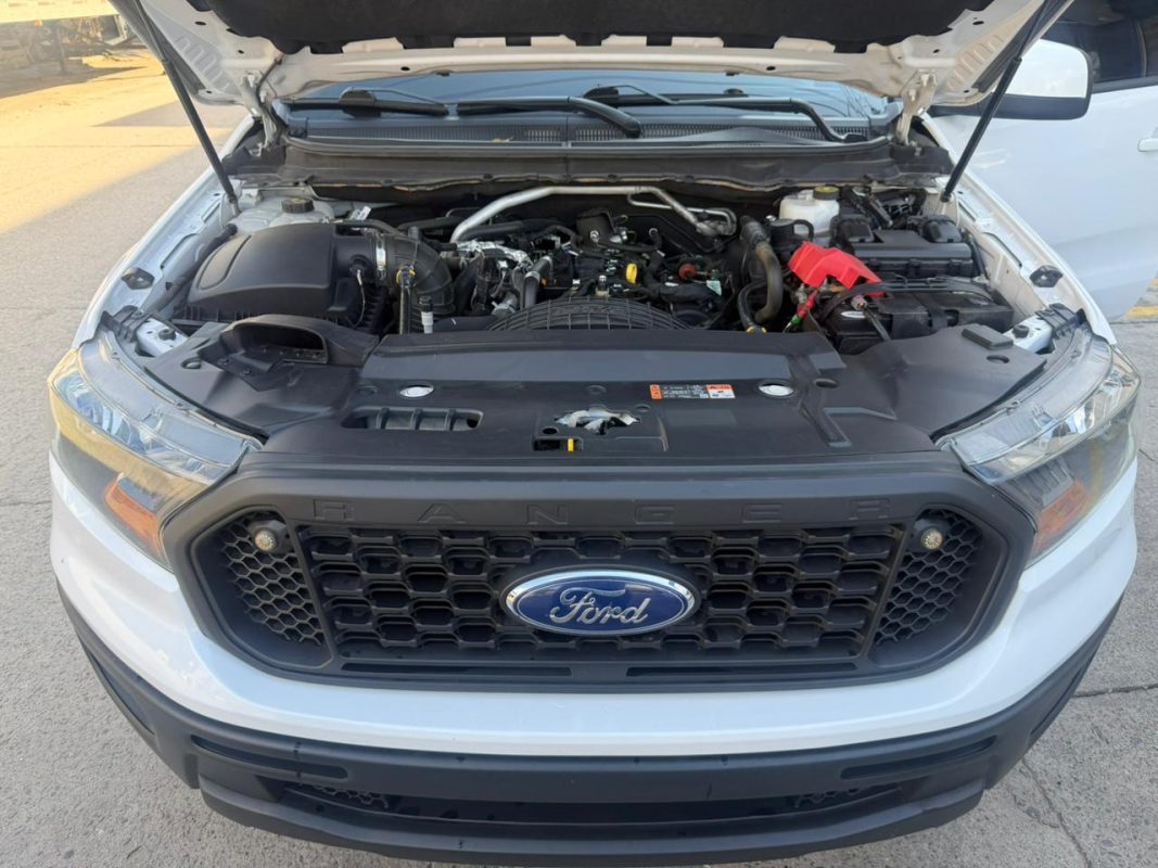 WhatsApp Image 2026-01-06 at 3.50.16 PM (1)