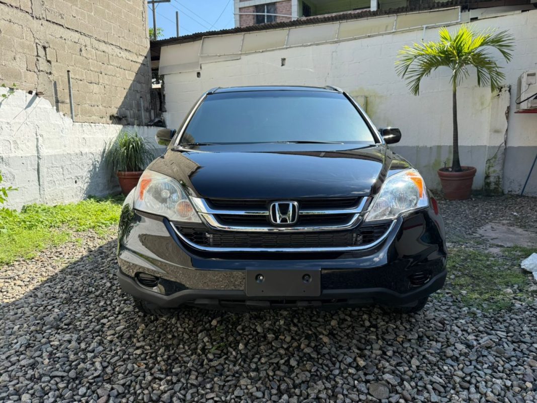 WhatsApp Image 2026-01-07 at 2.17.31 PM