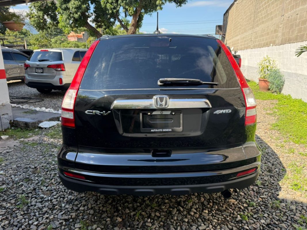 WhatsApp Image 2026-01-07 at 2.17.38 PM