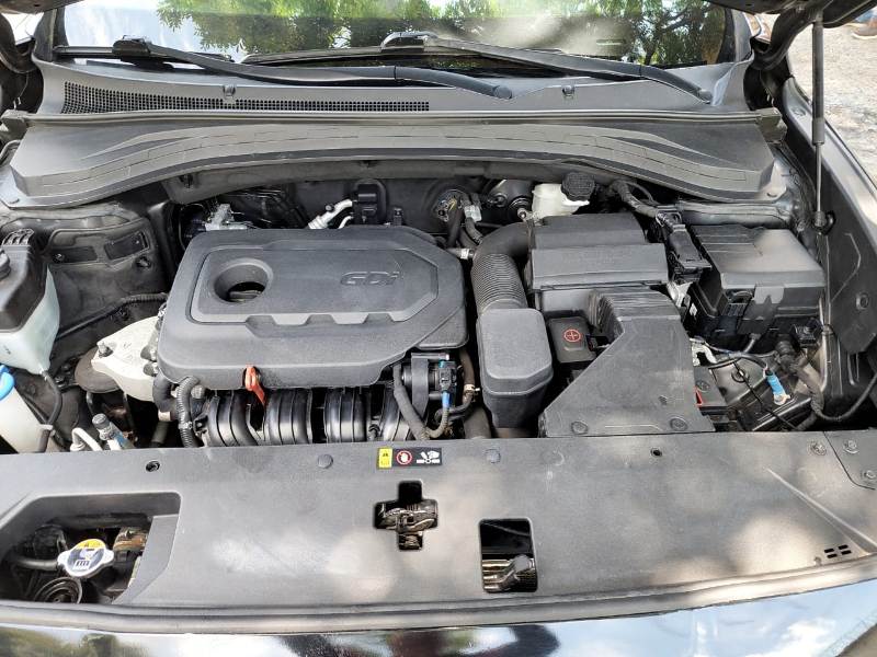 WhatsApp Image 2026-01-08 at 11.24.17 AM (2)