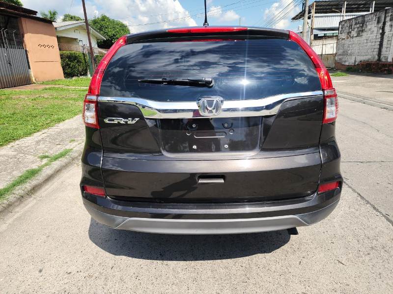 WhatsApp Image 2026-01-08 at 11.31.28 AM (1)