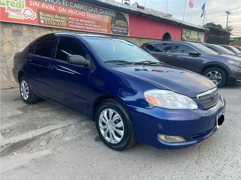 WhatsApp Image 2026-01-08 at 5.36.00 PM (1)