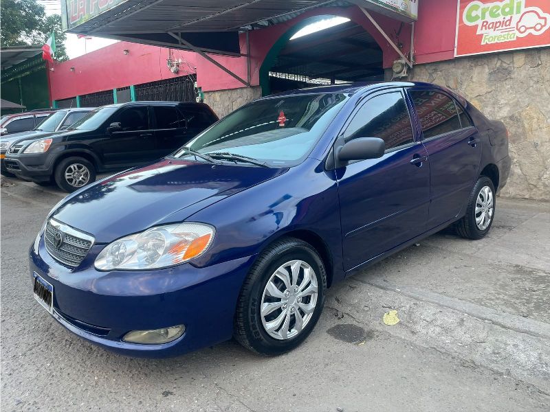 WhatsApp Image 2026-01-08 at 5.36.00 PM