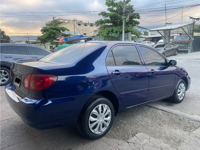 WhatsApp Image 2026-01-08 at 5.36.01 PM