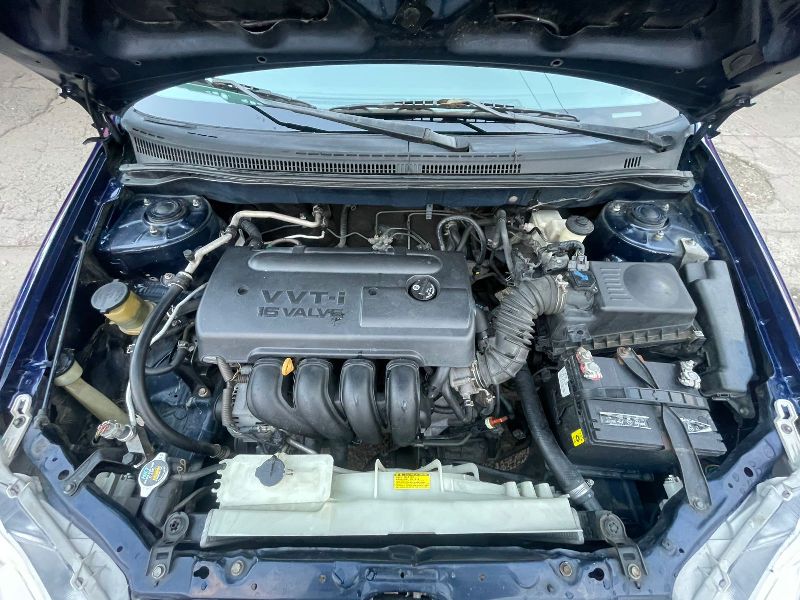 WhatsApp Image 2026-01-08 at 5.36.02 PM (4)