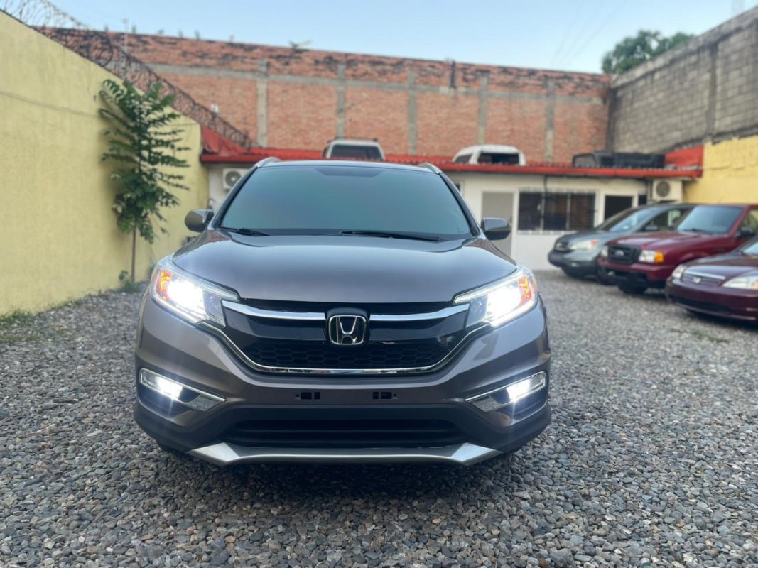 WhatsApp Image 2026-01-09 at 1.19.57 PM (1)