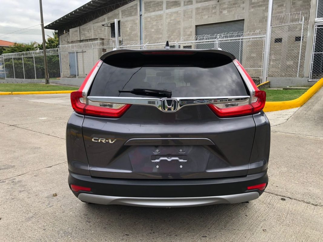 WhatsApp Image 2026-01-09 at 12.23.41 PM (1)