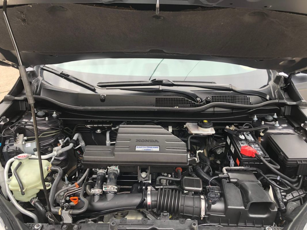 WhatsApp Image 2026-01-09 at 12.23.41 PM (2)