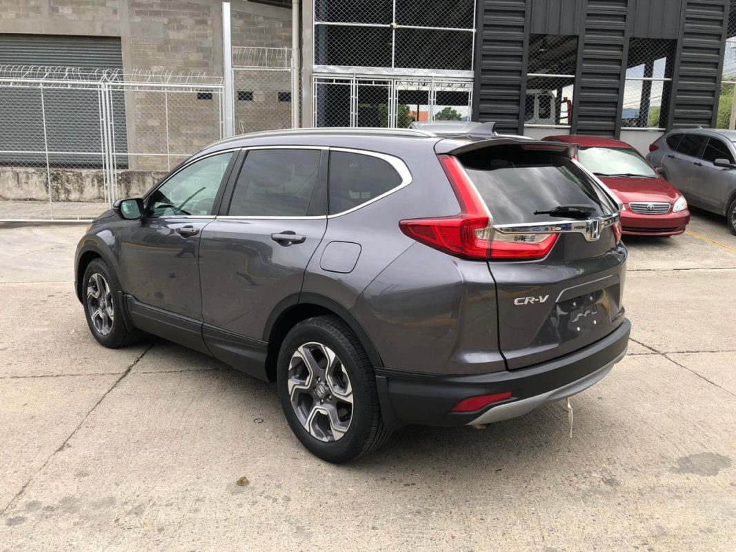 WhatsApp Image 2026-01-09 at 12.23.42 PM