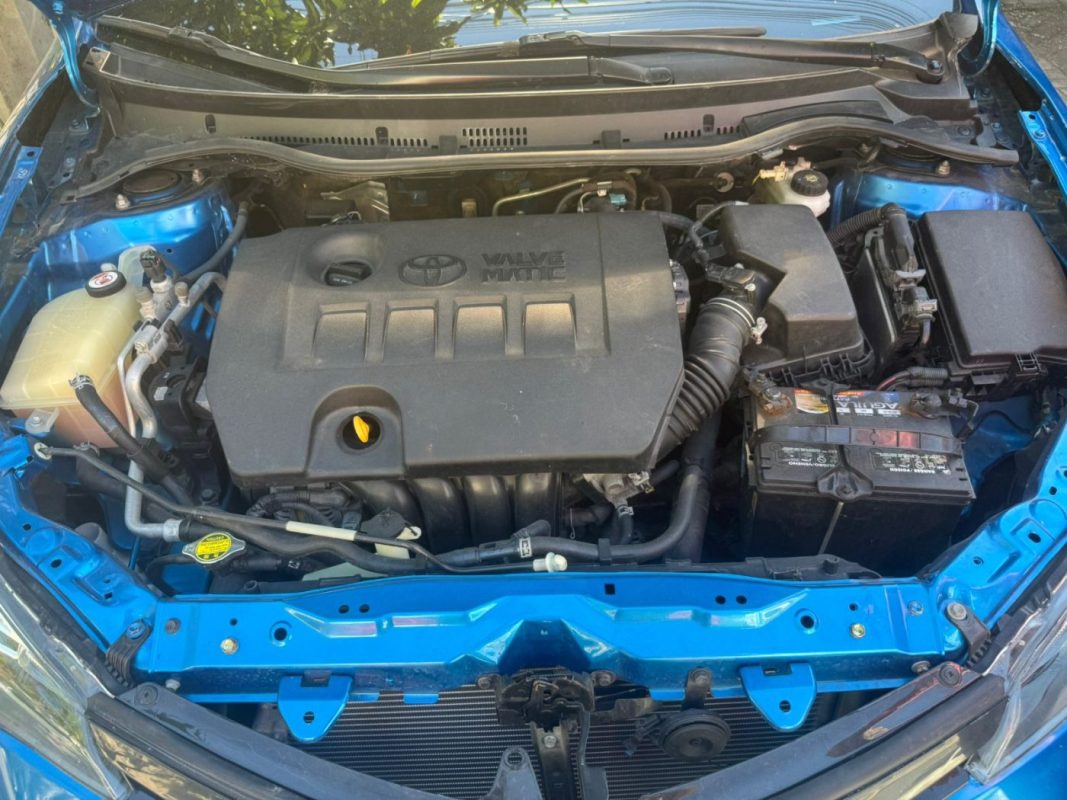 WhatsApp Image 2026-01-09 at 3.45.13 PM (3)