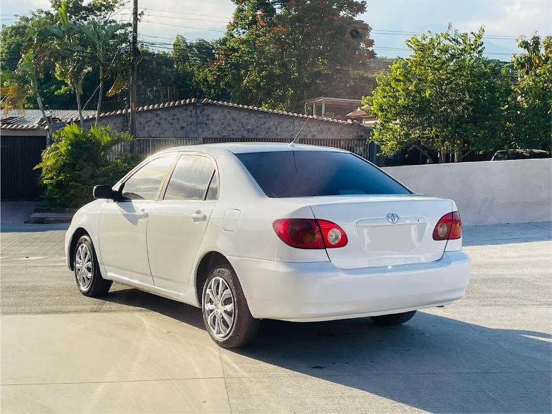 WhatsApp Image 2026-01-10 at 1.05.31 PM (2)