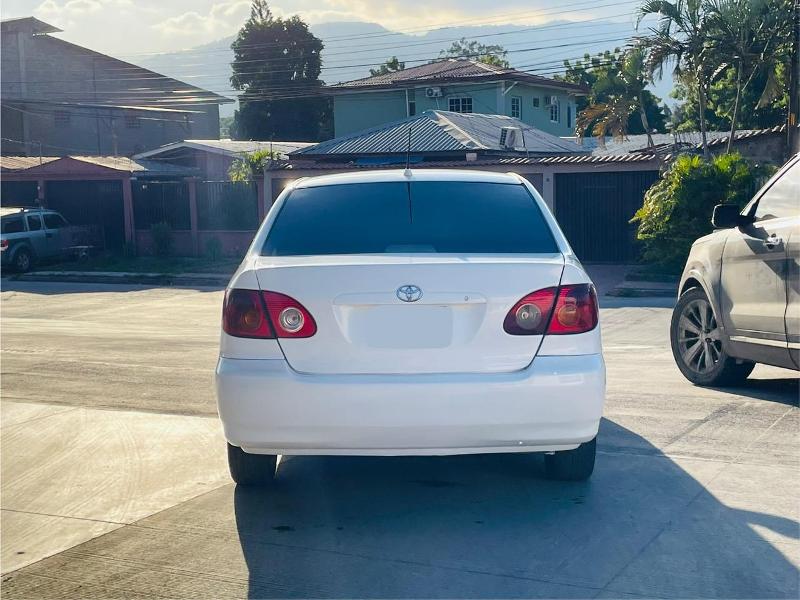 WhatsApp Image 2026-01-10 at 1.05.32 PM