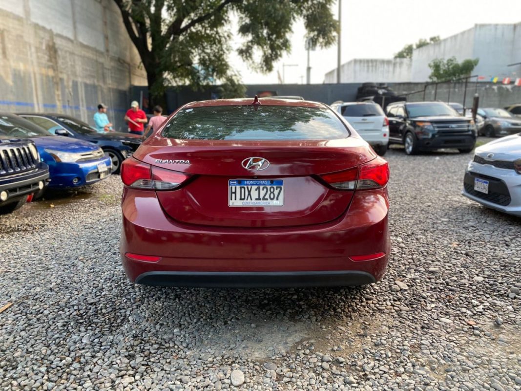 WhatsApp Image 2026-01-10 at 4.50.33 PM (4)