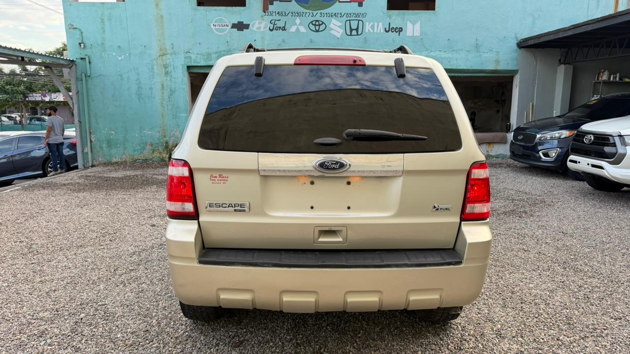 WhatsApp Image 2026-01-10 at 4.50.44 PM