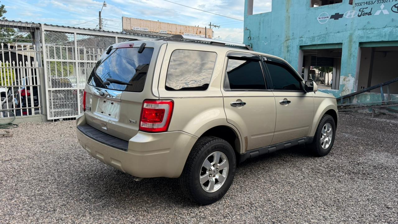 WhatsApp Image 2026-01-10 at 4.50.45 PM (1)