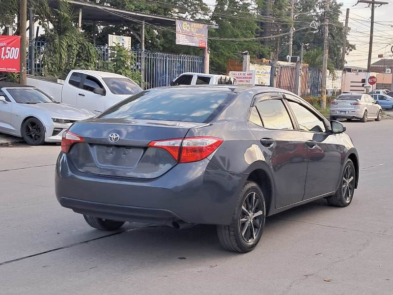 WhatsApp Image 2026-01-10 at 5.37.39 PM (2)