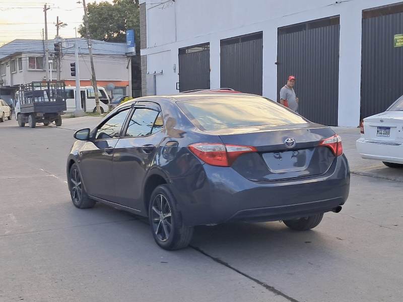 WhatsApp Image 2026-01-10 at 5.37.39 PM (6)