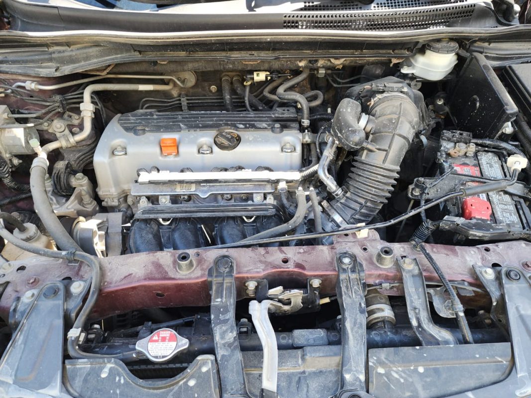 WhatsApp Image 2026-01-10 at 8.43.03 AM