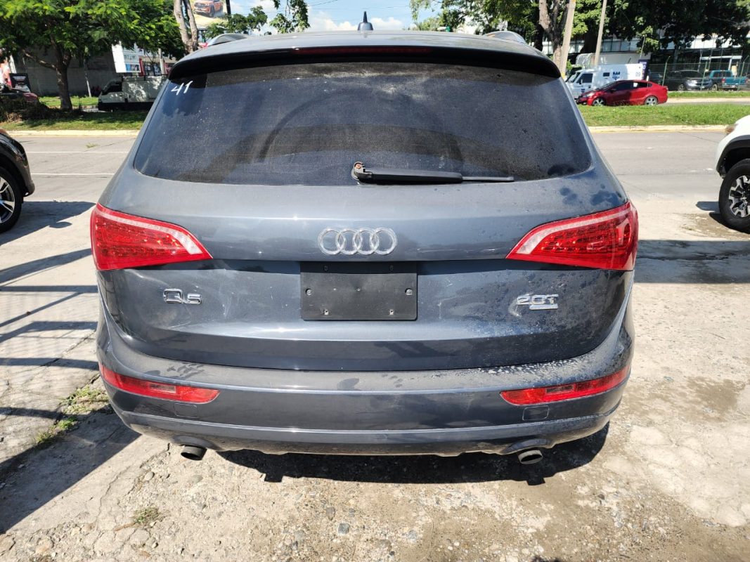 WhatsApp Image 2026-01-10 at 8.43.22 AM