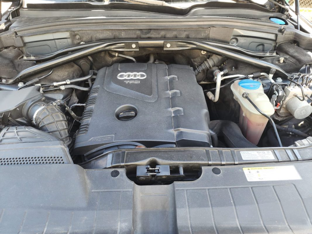 WhatsApp Image 2026-01-10 at 8.43.24 AM