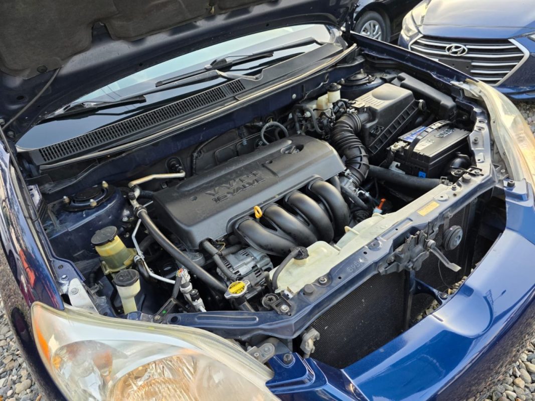 WhatsApp Image 2026-01-11 at 2.52.20 PM (7)