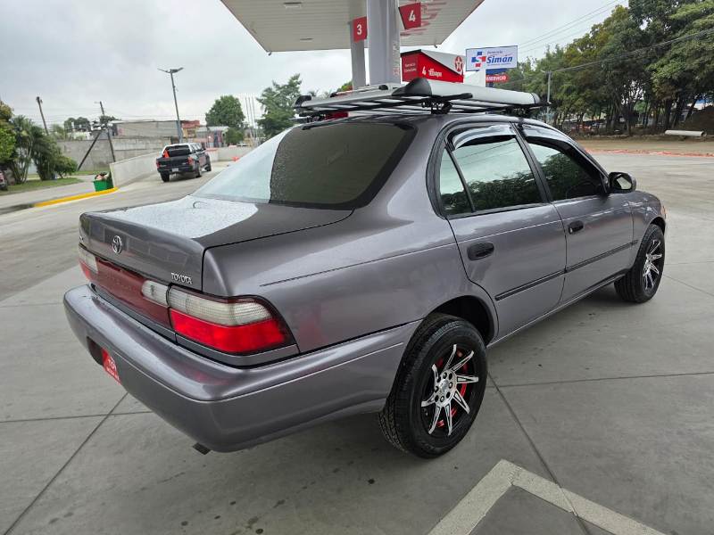 WhatsApp Image 2026-01-12 at 11.30.22 PM