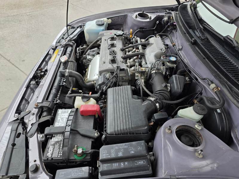 WhatsApp Image 2026-01-12 at 11.30.24 PM (6)