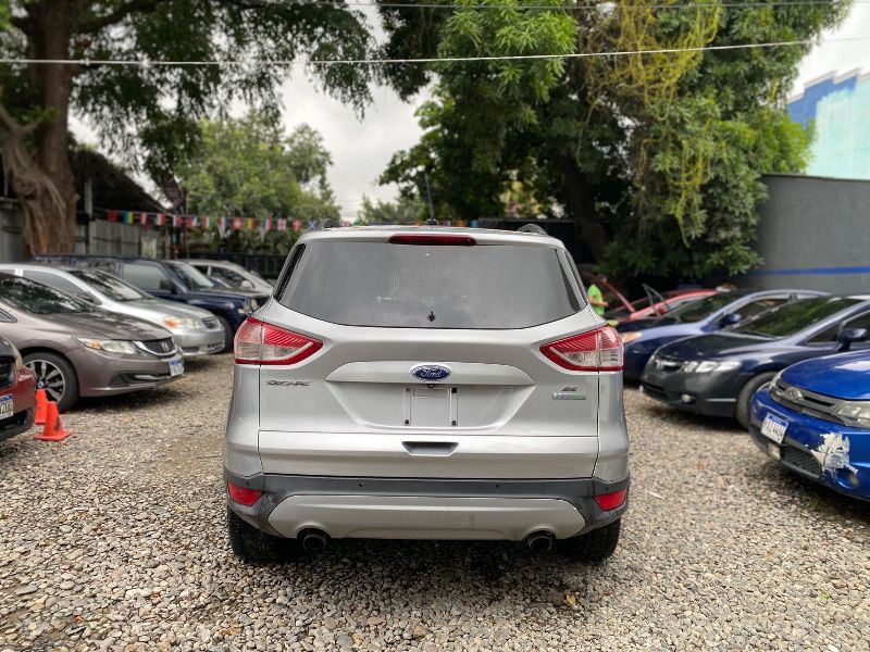 WhatsApp Image 2026-01-12 at 11.31.57 AM (1)