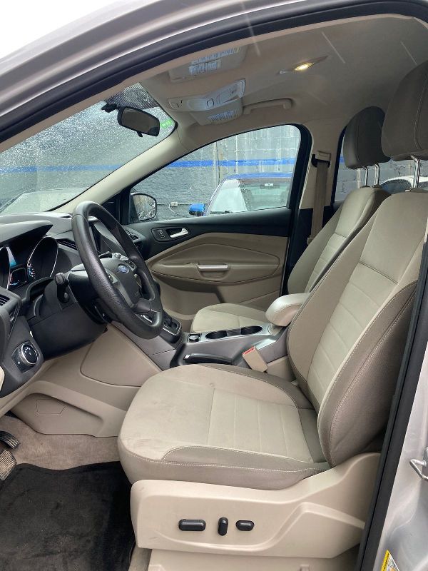 WhatsApp Image 2026-01-12 at 11.31.57 AM (2)