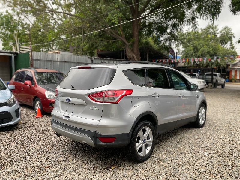 WhatsApp Image 2026-01-12 at 11.31.58 AM