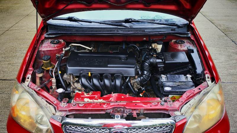 WhatsApp Image 2026-01-12 at 3.03.08 PM (1)