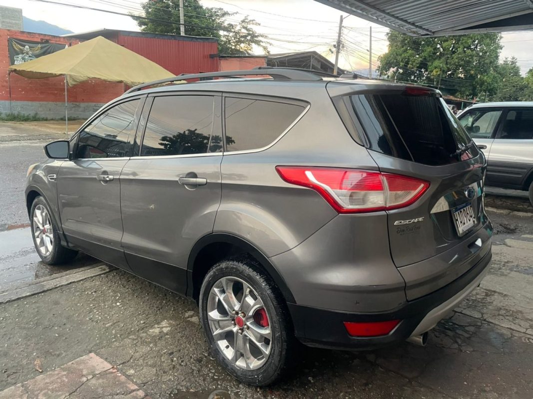 WhatsApp Image 2026-01-12 at 5.31.47 PM (3)